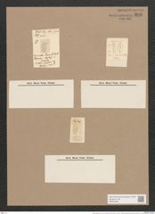 Navicula elliptica var. minor (N. parnula). Rbh. (de-Toni-Nr.: Genus 1, Species 298) Zeichnungen Sammlung Grunow Nr. 688 (NHMW-BOT-W0367063)